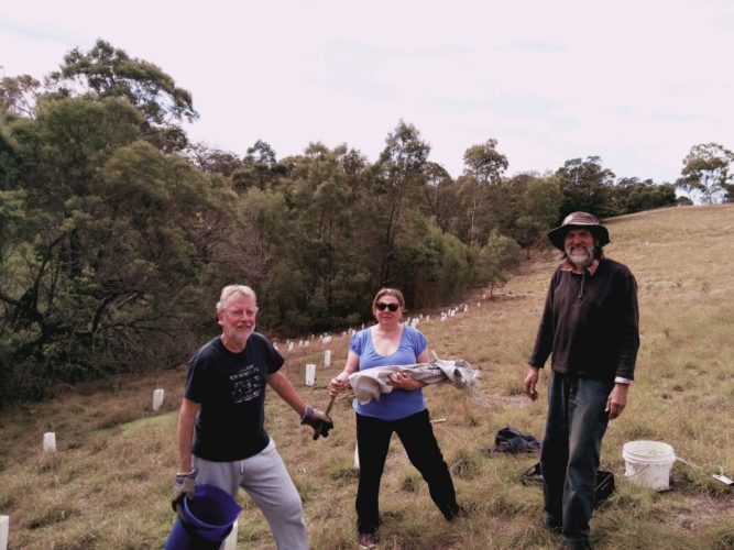 3 Working Bees in 5 days, a world record?