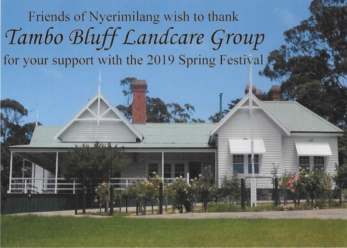 TBLC participate in Festival