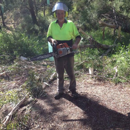 Wallaby Creek Walking Track cleared after fallen tree