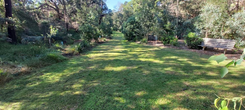 Patience and Passion Pays Off