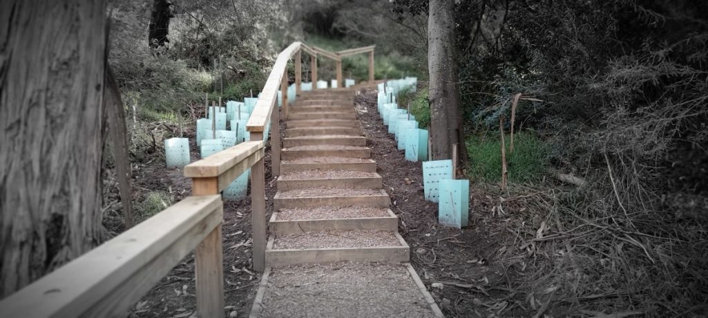 Wallaby Creek Walking Track rehab