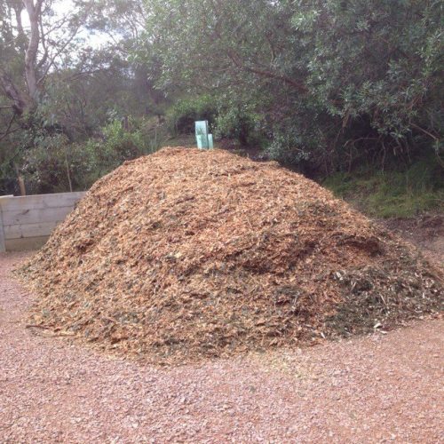 Giving back for a second time