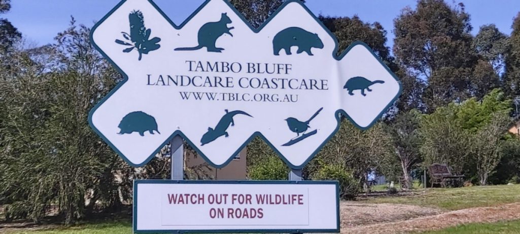 Native Wildlife is Precious