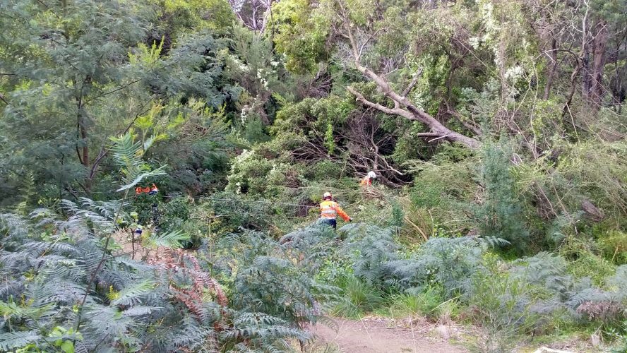 Wild Wind Clean-Up Completed