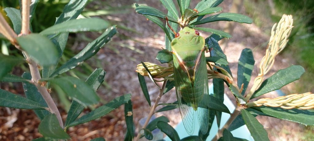 Mission Accomplished