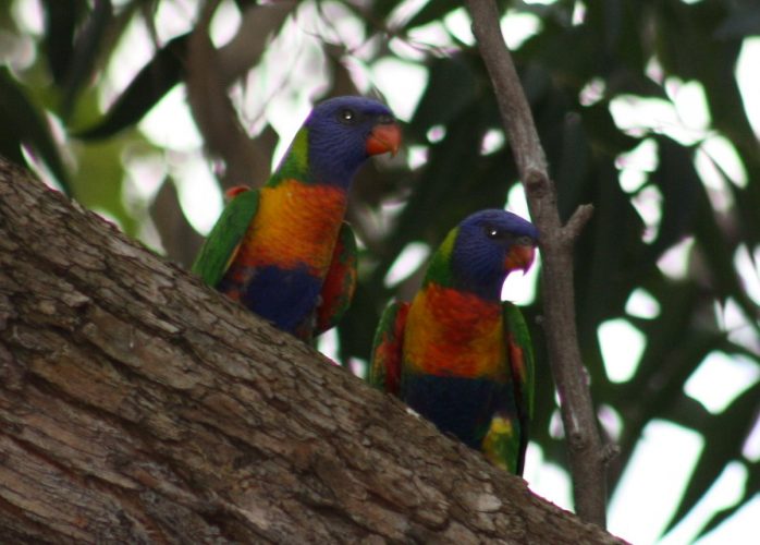 Respite from the heat