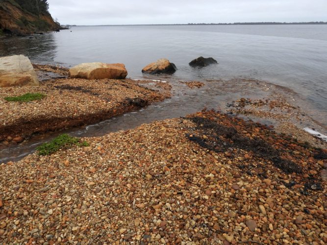 Bluff and Dolphin lagoons break out