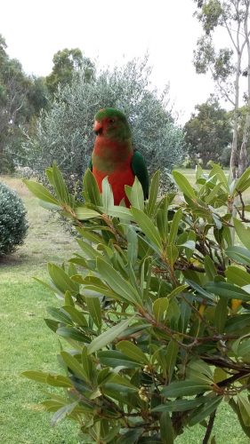 Tambo Bluff Treasures
