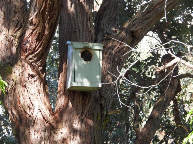 A very sticky problem