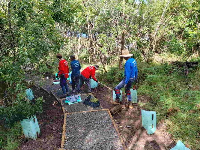 On the tools again, just can't wait...