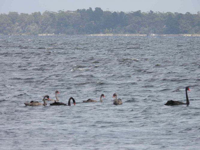 Mum, Dad and the kids