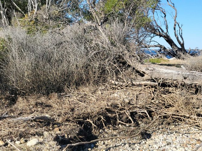 Bluff erosion